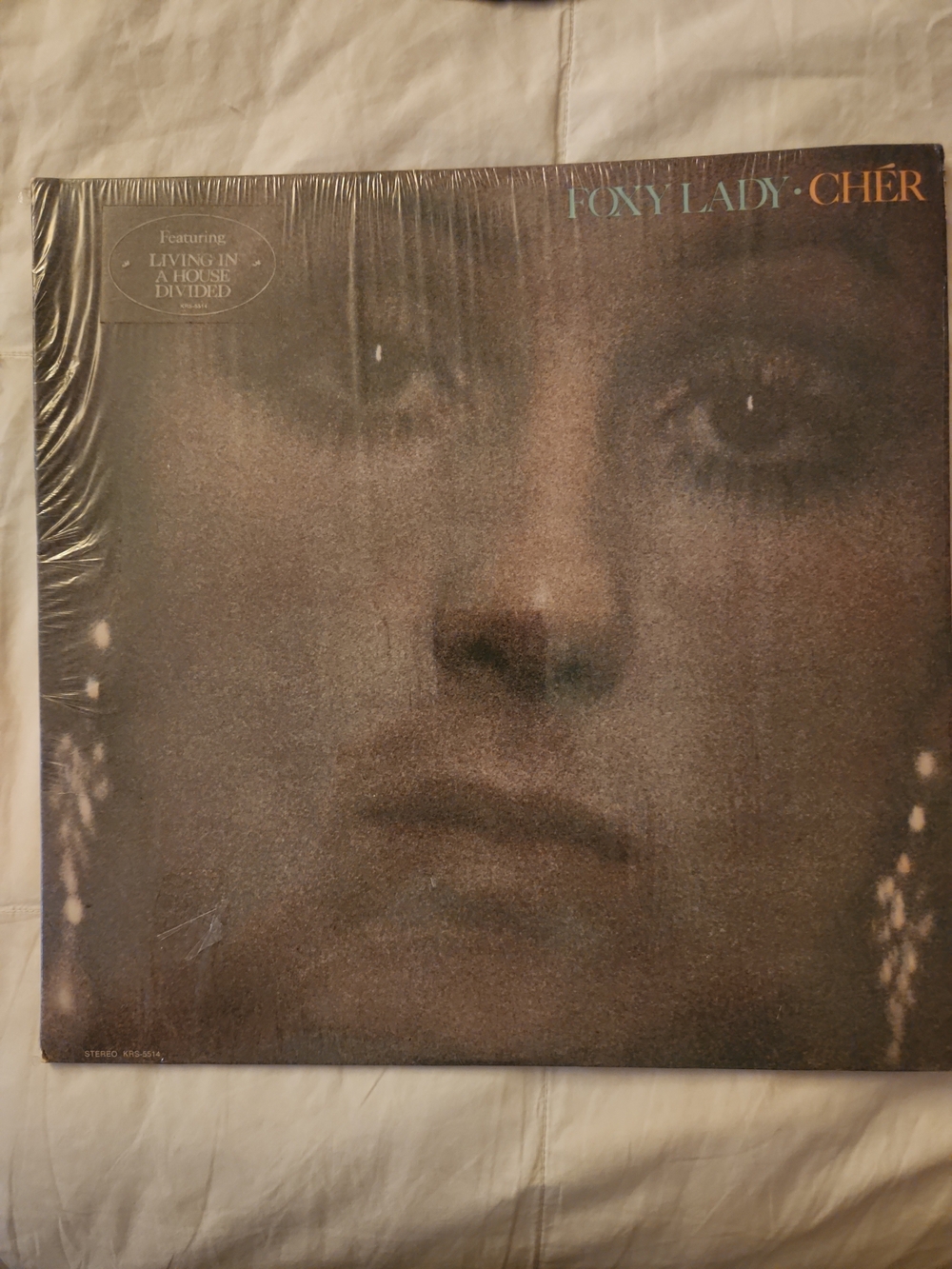 Cher -Foxy Lady Vinyl Record - Record Looks New -- Small Warp In Album Cover